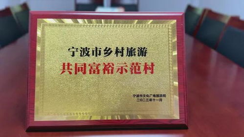 卖掉老家的房与车,闽南姑娘在奉化当起乡村 ceo