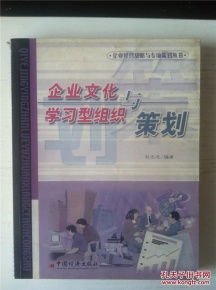 企业文化与学习型组织策划 企业经营战略与专项策划丛书 赵光忠著 中国经济出版社