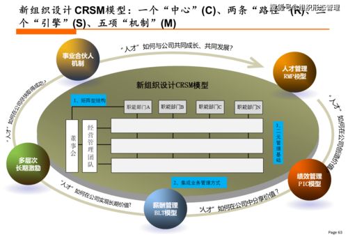 杨少杰 新商业时代的最佳组织结构